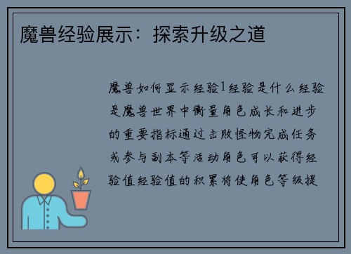魔兽经验展示：探索升级之道